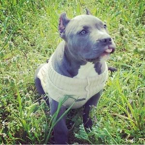 Meet your Posher, Alison